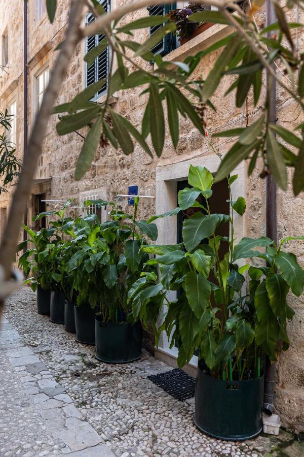 B&B Buza House Dubrovník Exteriér fotografie